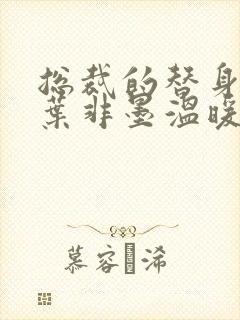 总裁的替身前妻叶非墨温暖和好