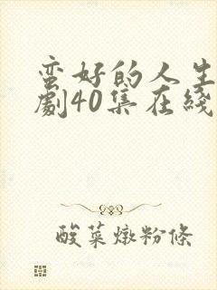 蛮好的人生电视剧40集在线观看免费