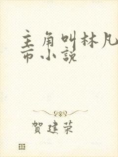 主角叫林凡的都市小说