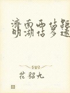 济南西站距离大明湖站多远