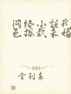 网络小说我的绝色总裁未婚妻