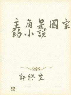 主角是国家特工的小说