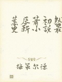 叶辰萧初然最快更新小说最新章节