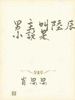 男主叫陆辰风的小说是