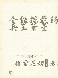 全能总裁的全能兵王萧晨