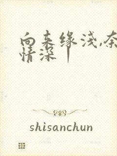 向来缘浅,奈何情深丨