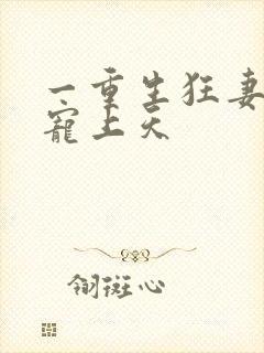 一重生狂妻大佬宠上天