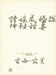 错嫁成婚总裁的神秘甜妻