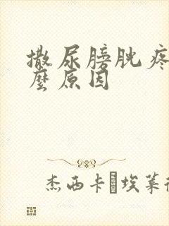 撒尿膀胱疼是什么原因