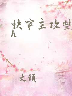 快穿主攻双男主h