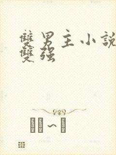 双男主小说推荐双强