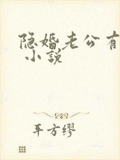 隐婚老公有点甜 小说