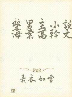 双男主小说推荐海棠高干文