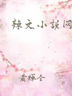 辣文小说网短篇