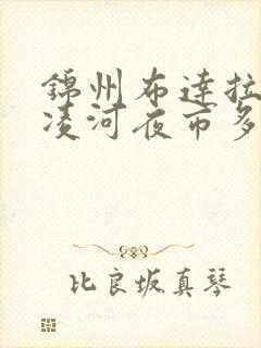 锦州布达拉宫离凌河夜市多远