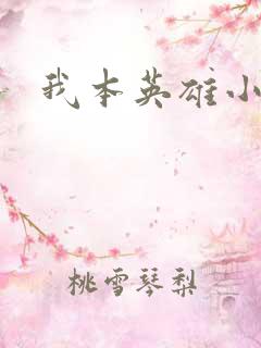 我本英雄小说