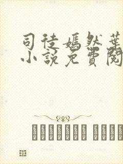 司徒嫣然叶凡的小说免费阅读