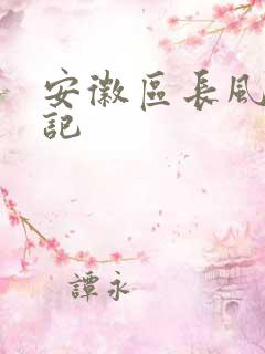安徽区长风流日记