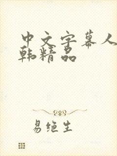 中文字幕人妻日韩精品