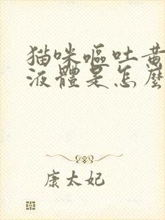 猫咪呕吐黄色的液体是怎么回事