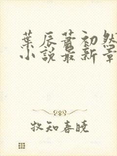 叶辰萧初然结局小说最新章节