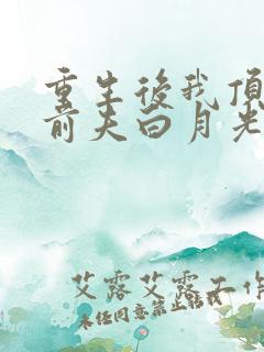 重生后我顶替了前夫白月光原著作者