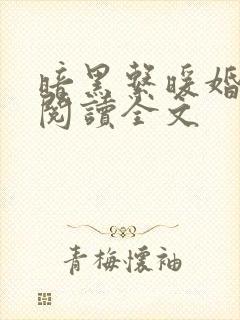 暗黑系暖婚免费阅读全文