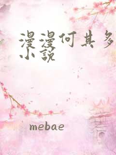 漫漫何其多其他小说