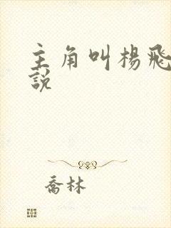 主角叫杨飞的小说