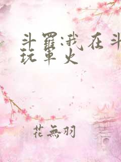 斗罗:我在斗罗玩军火