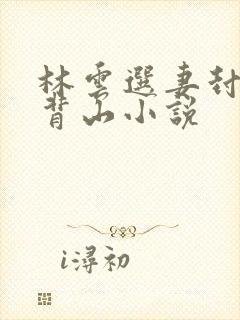 林云选妻封地牛背山小说