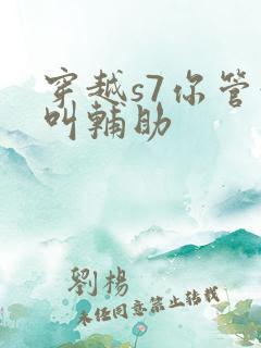 穿越s7你管这叫辅助