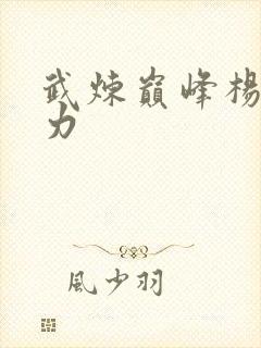 武炼巅峰杨开实力