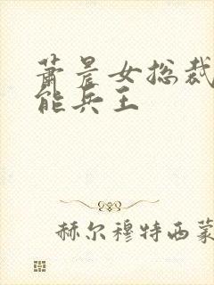 萧晨女总裁的全能兵王