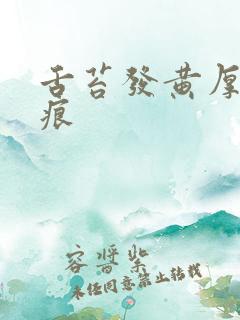 舌苔发黄厚有齿痕