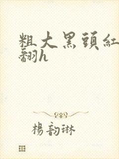 粗大黑头红肿外翻h