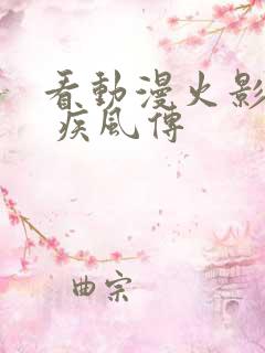 看动漫火影忍者 疾风传