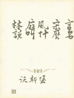 林庭风宋言汐小说叫什么名字