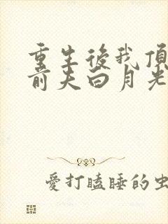 重生后我顶替了前夫白月光于一凡结局