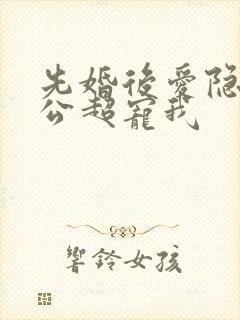 先婚后爱隐婚老公超宠我