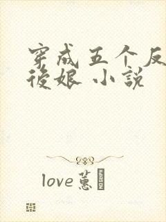 穿成五个反派的后娘 小说