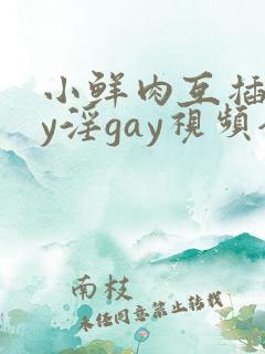 小鲜肉互插gay淫gay视频全集