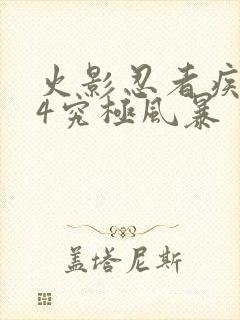 火影忍者疾风传4究极风暴