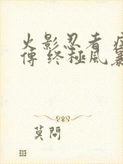 火影忍者 疾风传 终极风暴4