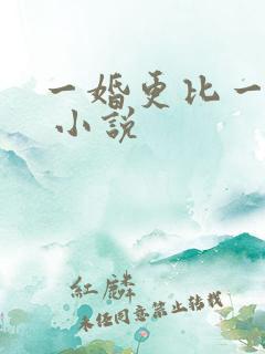 一婚更比一婚高 小说