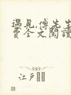 遇见,傅先生免费全文阅读