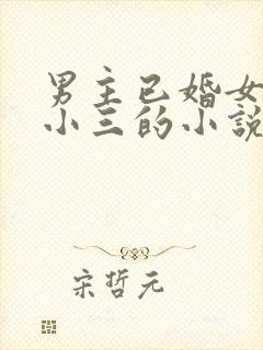 男主已婚女主是小三的小说