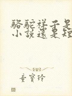 骆驼祥子是长篇小说还是短篇小说