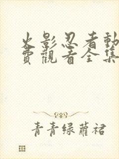 火影忍者动漫免费观看全集在线观看