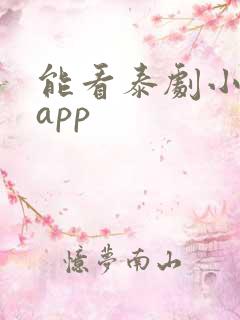 能看泰剧小说的app